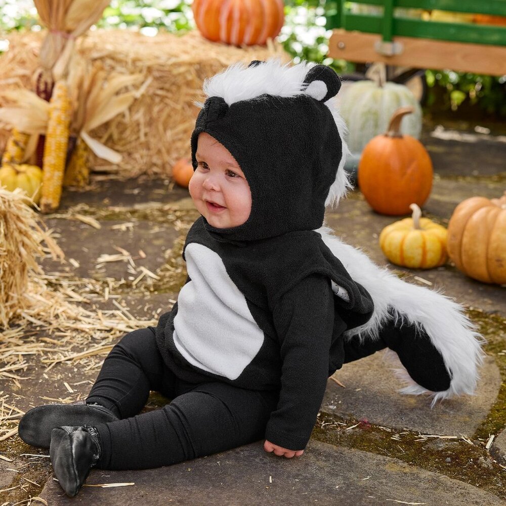 Pottery Barn Skunk Costume